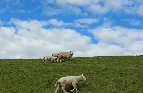 Stinteck Apartment | Gartenwohnung