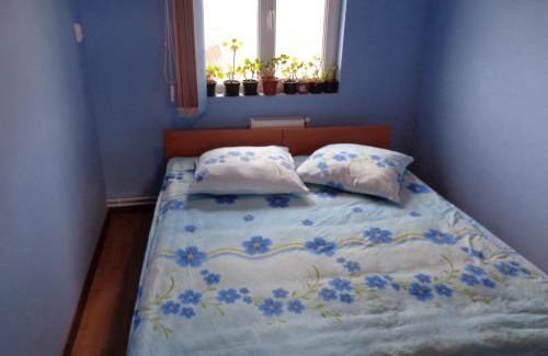 Caransebes House | Gasthaus Enduro Bica