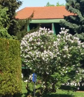 Pitten House | Gasthof Manhalter