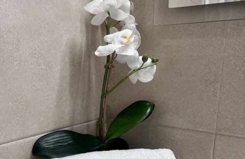 Valdelagrana Apartment | GATU - VILLA TREBOL