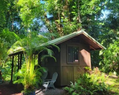 Kapoho Cabin | Gecko Hideaway Jungle Getaway