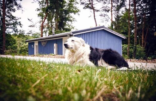 Oberhavel House | Gemütliches Ferienhaus für bis zu 4 Personen-Urlaub machen, wo der Weihnachtsmann zu Hause ist