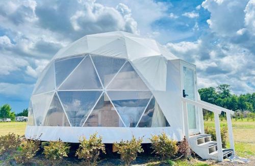 Muldoon Other | GEO Dome - Flatonia Glamping Retreat & RV Resort