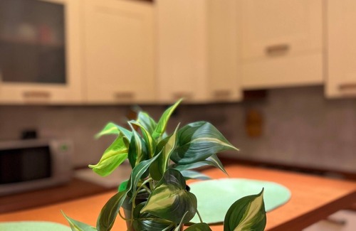 Monteverde Apartment | Gianiculum apartment