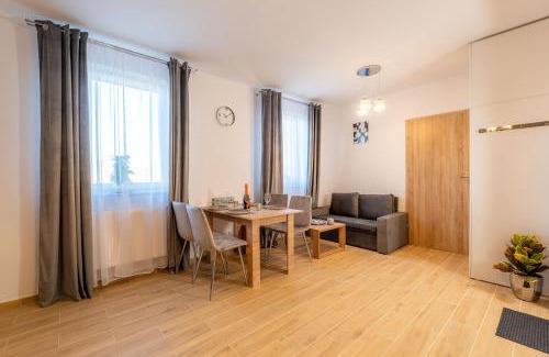 Gorzow Wielkopolski Apartment | Gicek Apartament 11A bezpłatny PARKING Faktura VAT 4 osobowy K-S SSE