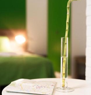 City Centre Hostel | Ginger ApartHostel