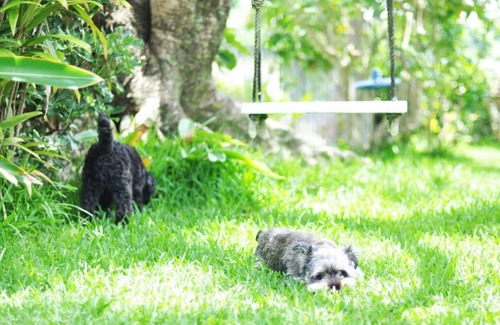 Ginowan House | Ginowan-shi Foreigner house on a hill