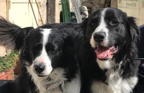 Saint-Mars-Vieux-Maisons House | Gite avec piscine Relais de la Canivotte