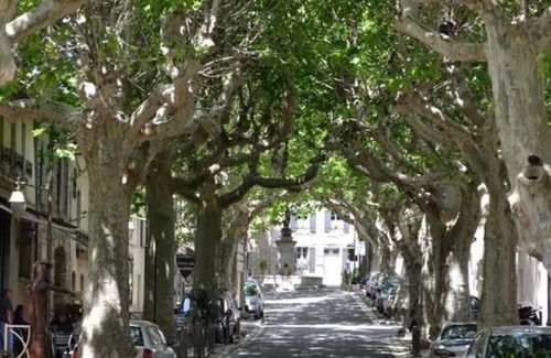Villeneuve-Minervois House | Gite le Bouis - VILLENEUVE MINERVOIS - 8 people