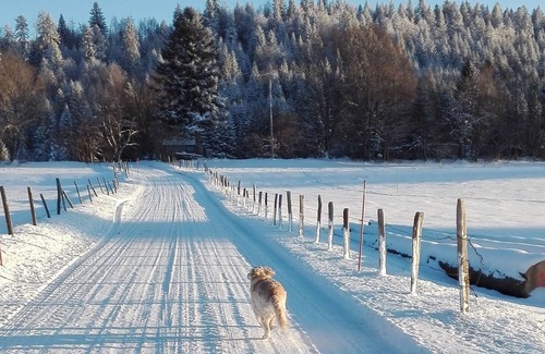 Hauterive-la-Fresse Other | Gite Les Gentianes - 2 stars