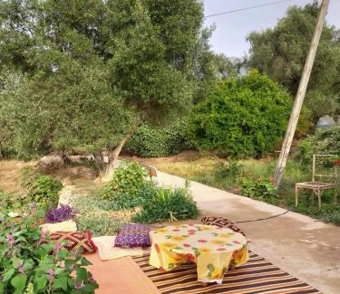 Tafoughalt House | GITE TAGMA