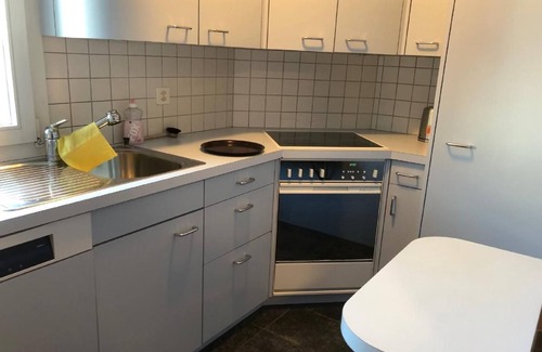 Altdorf Apartment | Gitschenblick