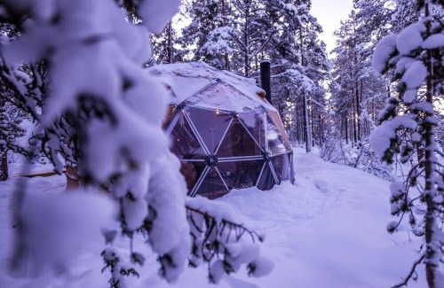 Alta Other | GLØD Aurora Canvas Dome