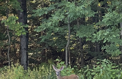 North Creek House | Glamping at Camp Locust