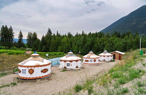 Tappen Resort | Glamping at vinyard