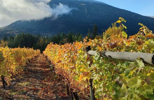 Tappen Resort | Glamping at vinyard