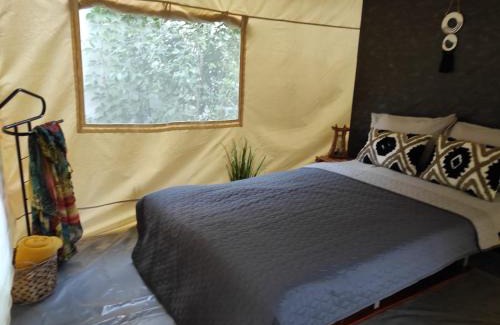 Vama Veche Other | Glamping Casa Soarelui