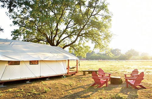 Upper Lake RV Rental | Glamping Tent with gorgeous mountain views&Animalsn