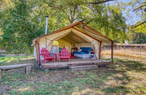 Upper Lake RV Rental | Glamping Tent with gorgeous mountain views&Animalsn