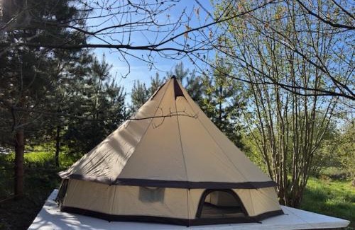 Vilnius Other | Glamping under the pines
