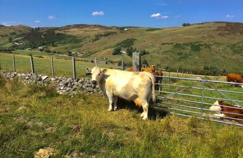 Rogart Cabin | Glen Lodges