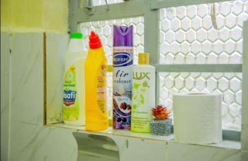 Nanyuki Apartment | Glisten Studio with free WIFI and Netflix