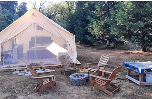 Auburn RV Rental | Glow in the dark Pickleball and Glamping in 16x14 canvas tent with Queen setup