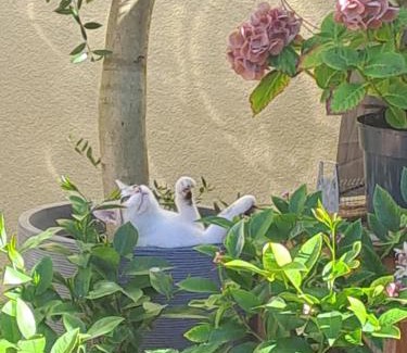 Bismark Apartment | Gnaden -und Ferienhof Saale Wittgenstein