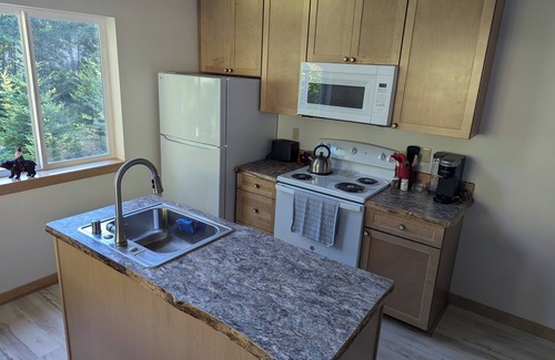 Packwood Apartment | Gnome Home: Cozy duplex studio apartment with AC, WiFi, in peaceful Packwood