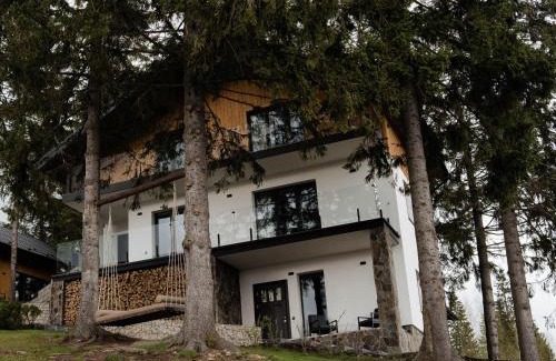 Yablunytsya Ski Chalet | Gogodz Chalet Resort