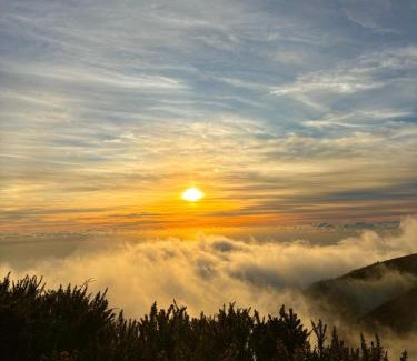 Ponta do Sol Apartment | Golden Moon, Ponta do Sol