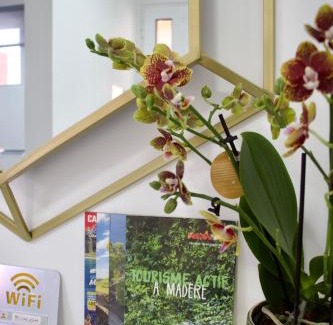 Ponta do Sol Apartment | Golden Moon, Ponta do Sol