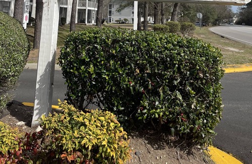 Carolina Forest Condo | Golfer's Delight