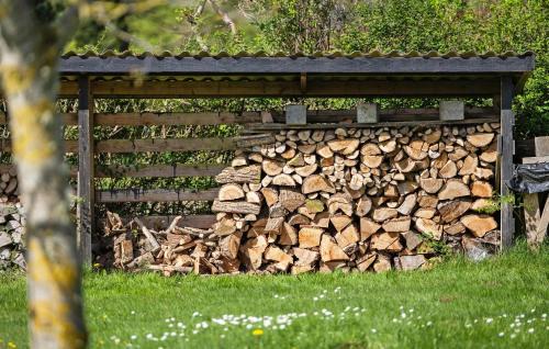 Hvalpsund House | Gorgeous Home In Farsø With Kitchen