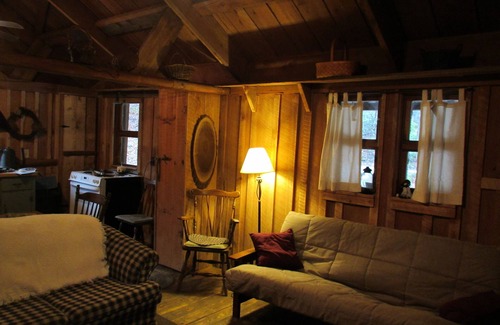 Robbinsville Cabin | Gorgeous Rustic Cabin