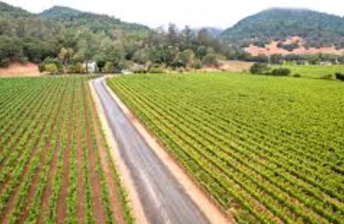 Yountville House | Gorgeous Yountville Pet-Friendly home - 2 beds & office - walk to downtown!!