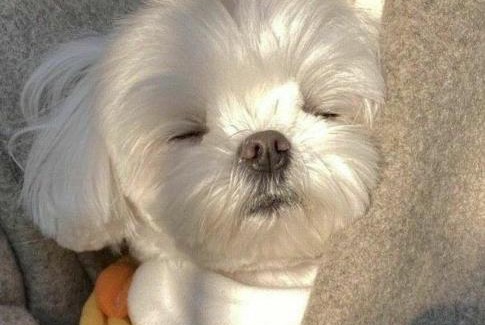 Dong-gu Hotel | Gout Stay