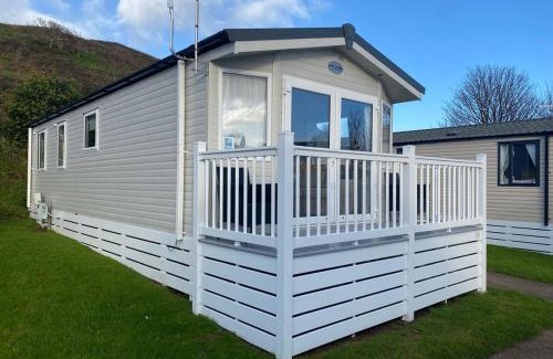 Paignton Other | Gracie