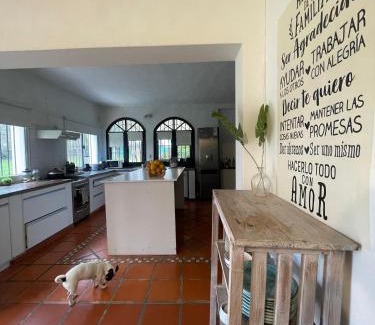Gualeguaychu House | Gran Mansión Premium