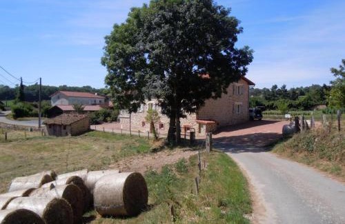 Chirassimont House | Grand gîte familial avec cheminée et animaux admis - FR-1-496-65