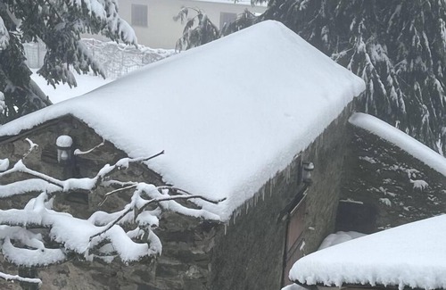 Saint-Pierre-de-Trivisy House | Grand Hortensia - SAINT-PIERRE-DE-TRIVISY