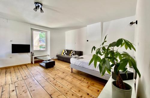 Briancon Apartment | Grand studio classé 4 étoiles avec jardin et garage vélo, moto