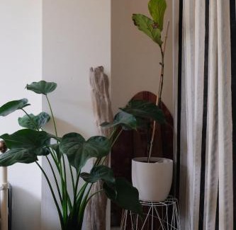 Foix Apartment | Grande Terrasse Hyper-Centre Quiet & Cozy for 2