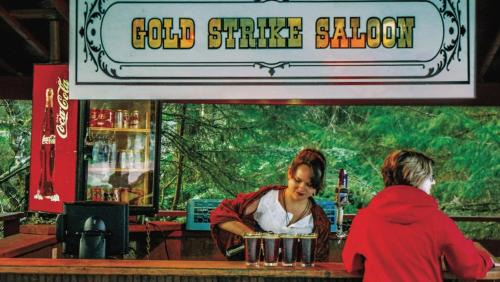 Mendenhaven House | Grandma's House - Large Home - DISCOUNT ON TOURS!