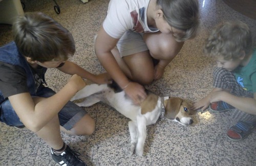 Esztergom Hotel | Grante Motel