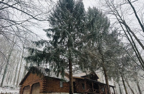 Dover House | Great 3 Bedroom Log House in Amish Country