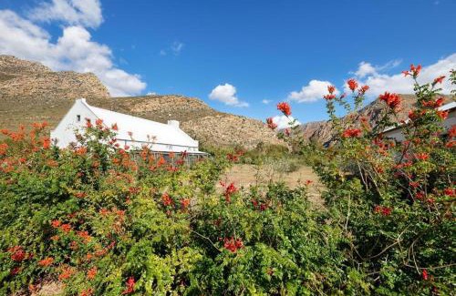 Montagu House | Great Heart Farm