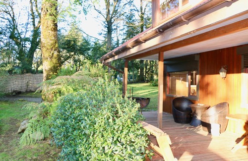 Pucon House | Great house with pool and native trees: special for the solar eclipse