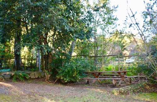 Pucon House | Great house with pool and native trees: special for the solar eclipse