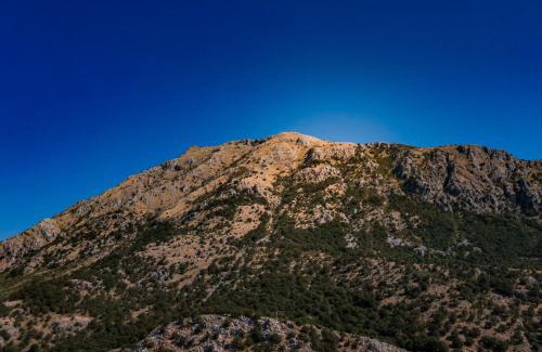 Bar Villa | Green Hills Villa